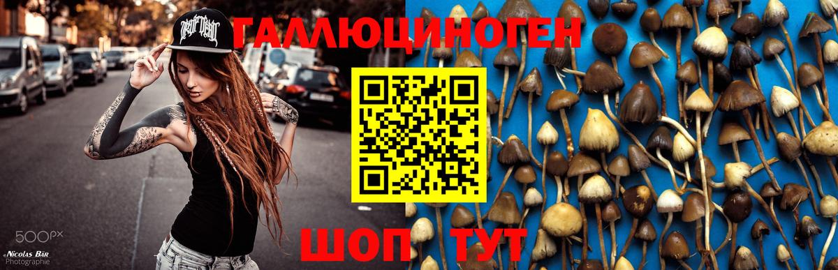 Галлюциногенные грибы GOLDEN TEACHER  Вход с VPN  Феодосия 