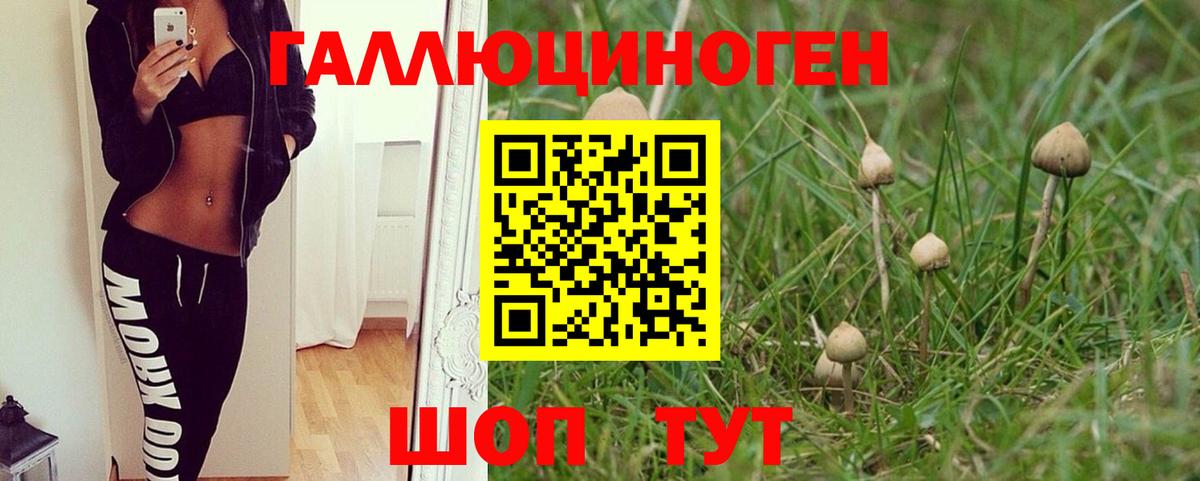 Псилоцибиновые грибы ЛСД Феодосия